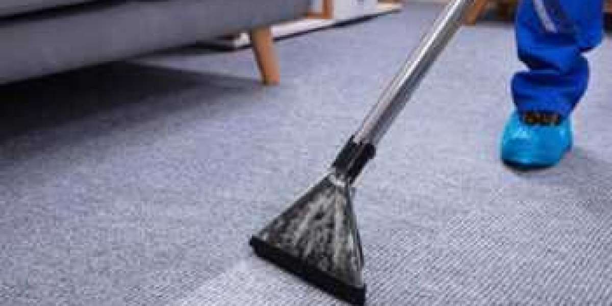 Carpet Cleaning Services That Use Eco-Friendly Solutions