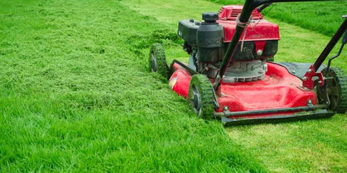 Green Lawn Care Houston,TX