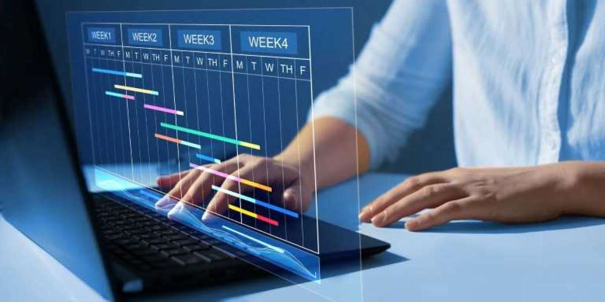 The Growing Demand for SMB Software Market Solutions in Digital Transformation