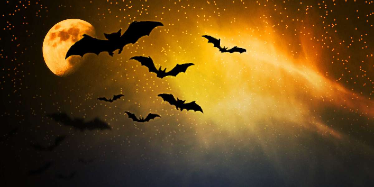 Comprehensive Research on Leasing a Jet: Advantages, Concerns, and Process