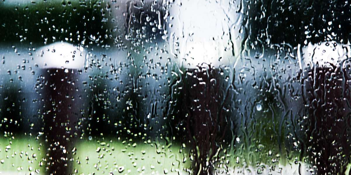 The Evolution and Impact Of Sugar Daddy Meet Sites