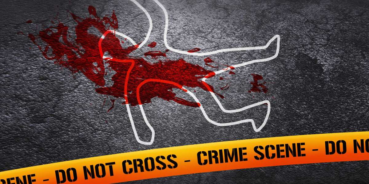 Observational Research on Gold IRA Companies: Developments, Practices, And Consumer Insights