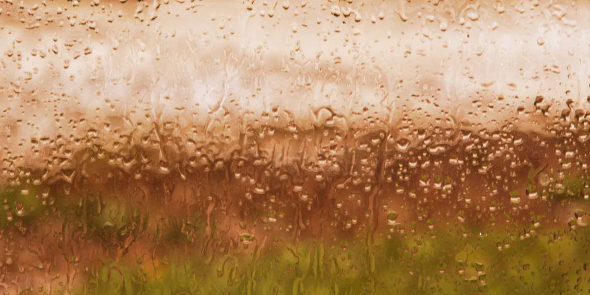 Exploring the Best Rated Gold IRA: A Comprehensive Observational Study