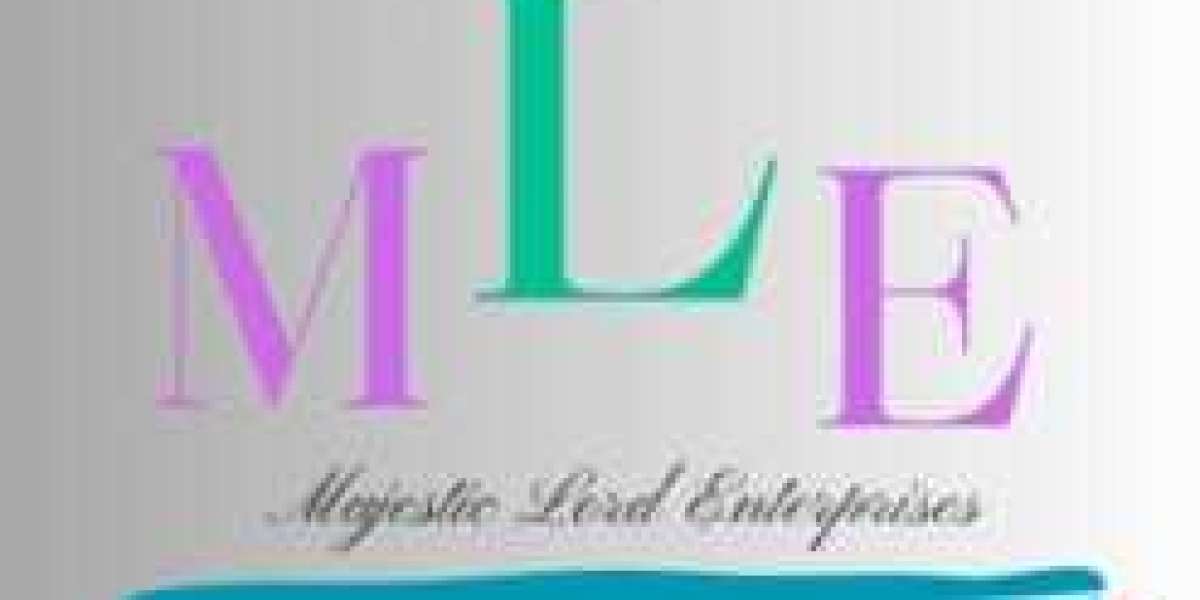 What Makes Majestic Lord Enterprises a Leader in Modern Business Solutions?