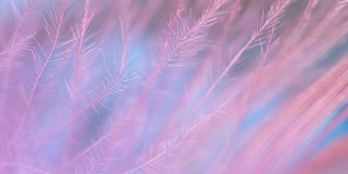 Best Sportswear Manufacturer for Brands: Elevating Performance, Style, and Identity