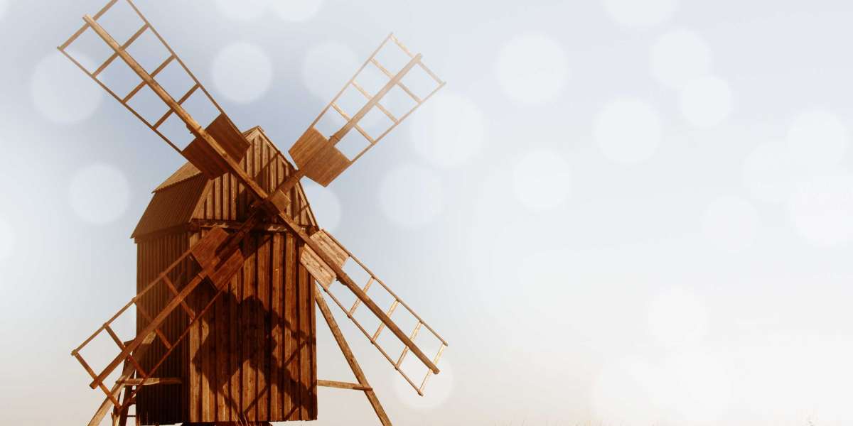 Overview of Private Airline Companies