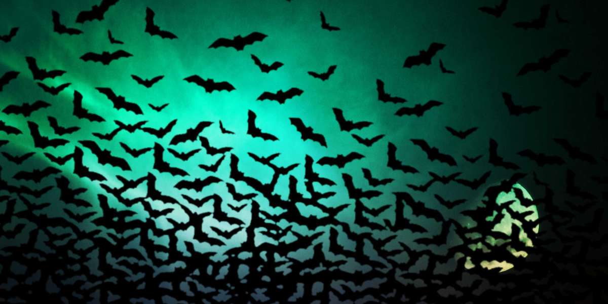 Best Gold and Silver IRA: A Comprehensive Case Study