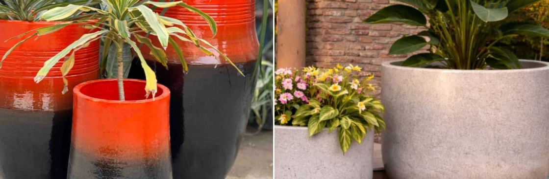 DNF Ceramics Cover Image