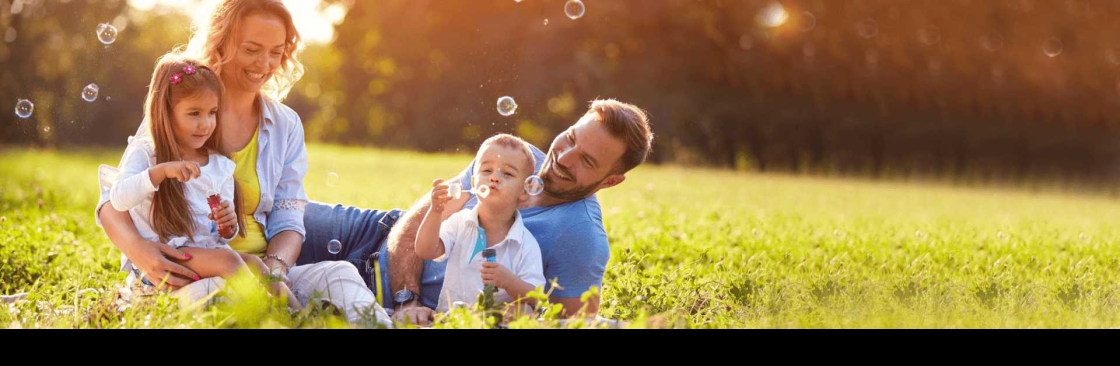 Build Bourne Cover Image