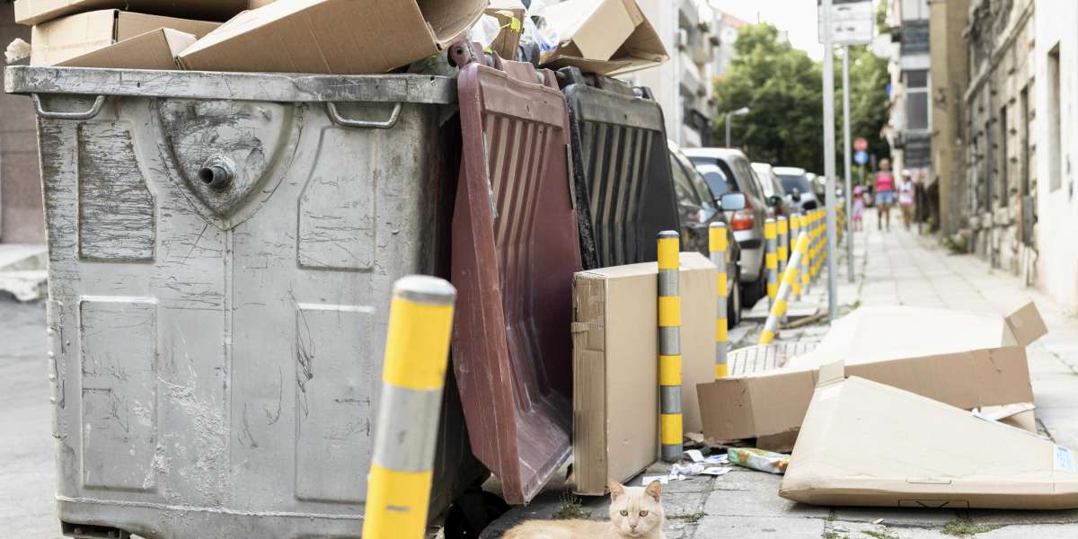 Affordable Mammoth Dumpster Rentals for Home Waste