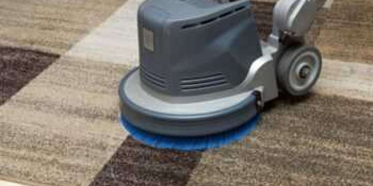 Carpet Cleaning Services Improve Comfort in Homes With Carpets